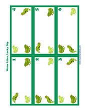 Load image into Gallery viewer, Summer Practice Games (Digital Download)