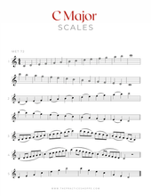 Load image into Gallery viewer, 2 Octave Scales for Violinists (Digital Download)
