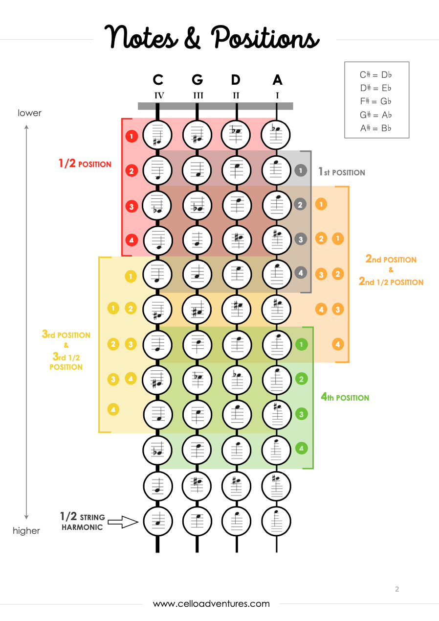 Notes and Positions for Cello – The Practice Shoppe