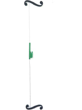 Load image into Gallery viewer, Zipline / cello
