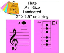 Load image into Gallery viewer, Flute Mini Laminated Flashcards
