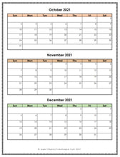 Load image into Gallery viewer, 2021 Three Months per Page Calendar (Digital Download)
