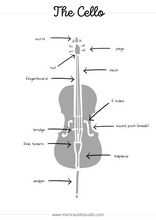 Load image into Gallery viewer, Cello &amp; Bow Parts
